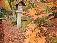 -常寂光寺
