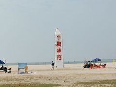 -东郊椰林