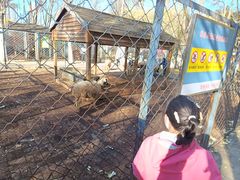 -长白岛森林公园