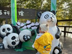-苏州太湖国家湿地公园