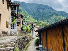 -杨家堂村