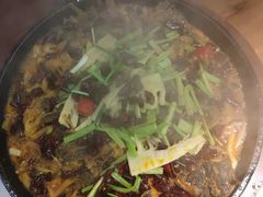 -老板恋上鱼(振华商厦店)