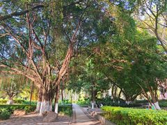-厦门大学(思明校区)