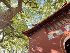 -普陀山风景名胜区-法雨禅寺
