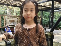 -广州长隆国际大马戏