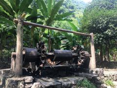 -车溪民俗旅游区
