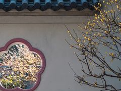 -无锡梅园公园