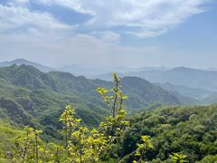 -大岭沟猕猴桃谷风景区