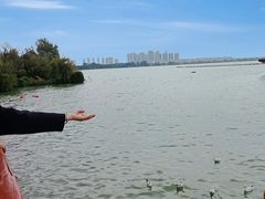 -滇池海埂公园