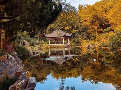-叶家花园