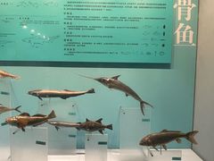 -天津自然博物馆