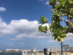 -美国村