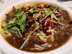 水煮牛肉-京尊烤鸭店JINGZUN(春秀路店)