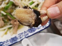 -呼吸森林·生态农庄农家乐私房菜