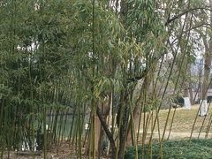 -良渚古城遗址公园