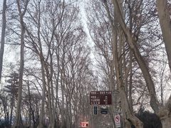 -紫金山山顶公园