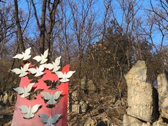 -阳台山自然风景区