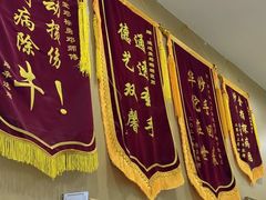 -通透堂中医·精准推拿(旗舰店)