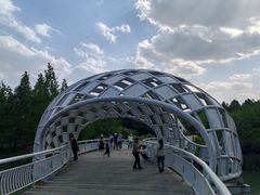 -同里国家湿地公园