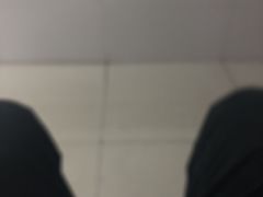 -湖锦酒楼·旗舰店(三阳总店)