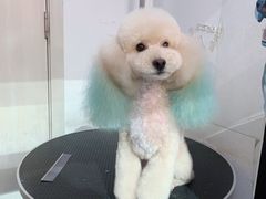 -太原东方动物医院(小店分院)