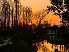 -江心屿景区