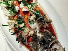海捕生猛老虎斑（起片清蒸）-闻见中国海南菜(K11店)