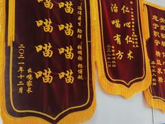 -中农国际动物医院24小时·猫科·骨科·急重症中心
