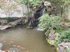 -上海醉白池公园