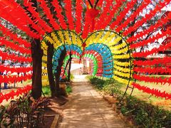 -北海金海湾红树林生态旅游区