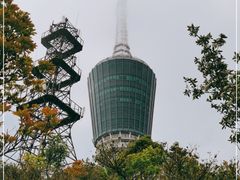 -梧桐山风景名胜区