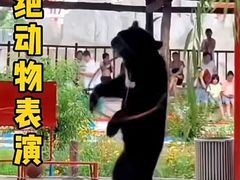 -太阳部落