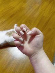 -Nail Me美甲美睫