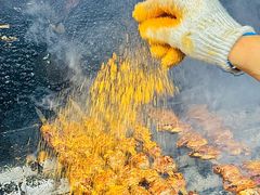 -周记老沈阳焦火鸡架