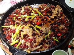 -老板恋上鱼(恒隆广场店)