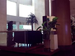 -上海浦东假日酒店