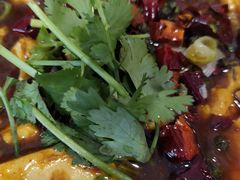 -天回镇何氏豆腐(总店)