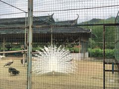 -韶关经律论国际酒店温泉