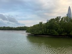 -深圳湾公园(南山区)