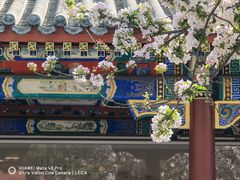 -大钟寺古钟博物馆