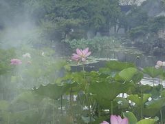-东山雕花楼