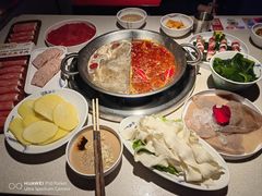 -小龙坎火锅(全球旗舰店)