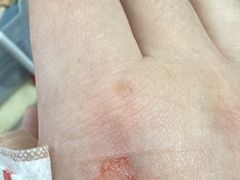 -爱维尔阳光蛋糕(汇金广场店)