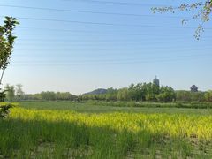 -永定河休闲森林公园