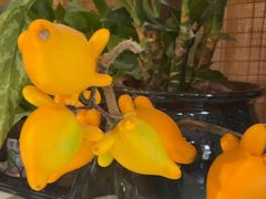 -观盐·盐帮菜(官园桥店)