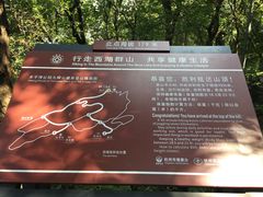 -九曜山