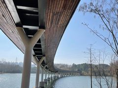 -昆山城市生态森林公园