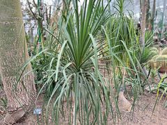 -北京植物园-展览温室