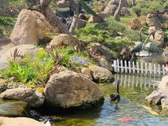 -罗红摄影艺术馆