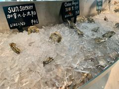 -Oyster Talks 四度蚝法餐厅